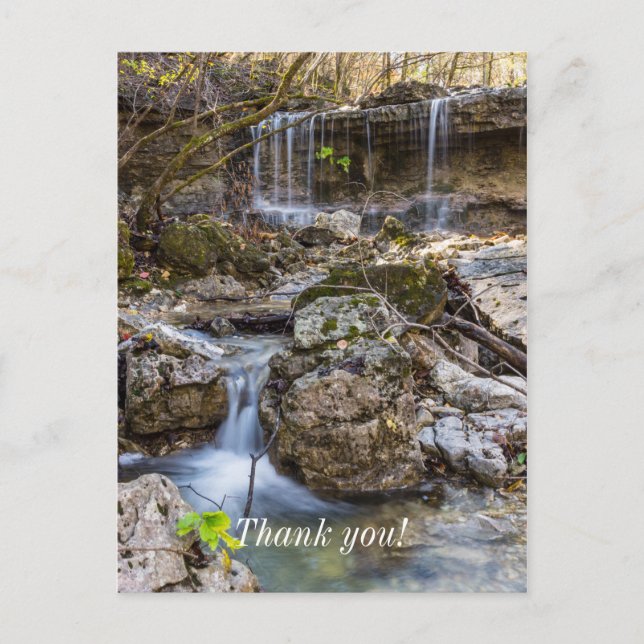 Postal Jewel De Henning Conservation Gracias Postcard (Anverso)