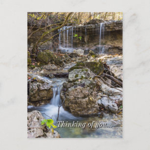 Postal Jewel De Henning Conservation Pensando En Ti