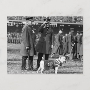 Postal Jiggs sabe fútbol: 1923