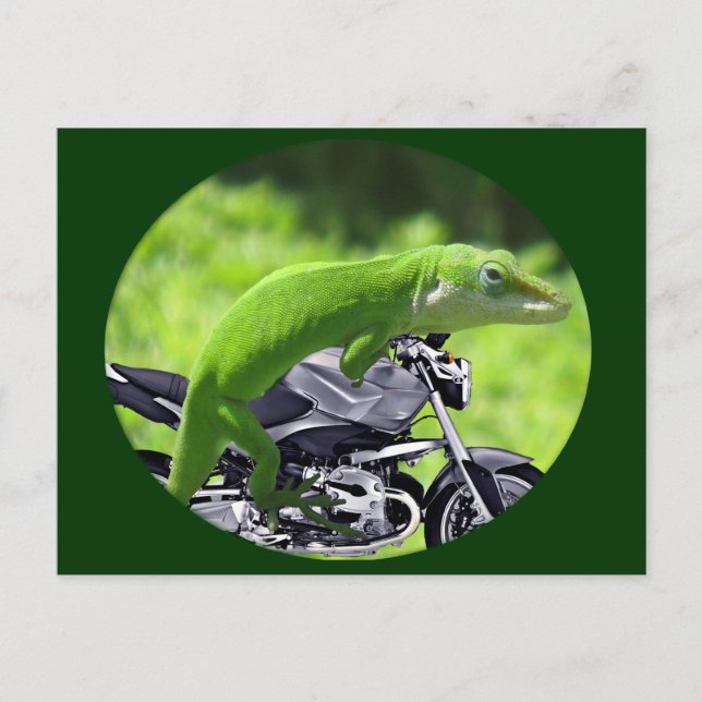 Postal Jinete de geco hawaiano verde (Anverso)
