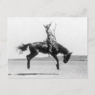 Postal Jinete de rodeo vintage en foto de caballo