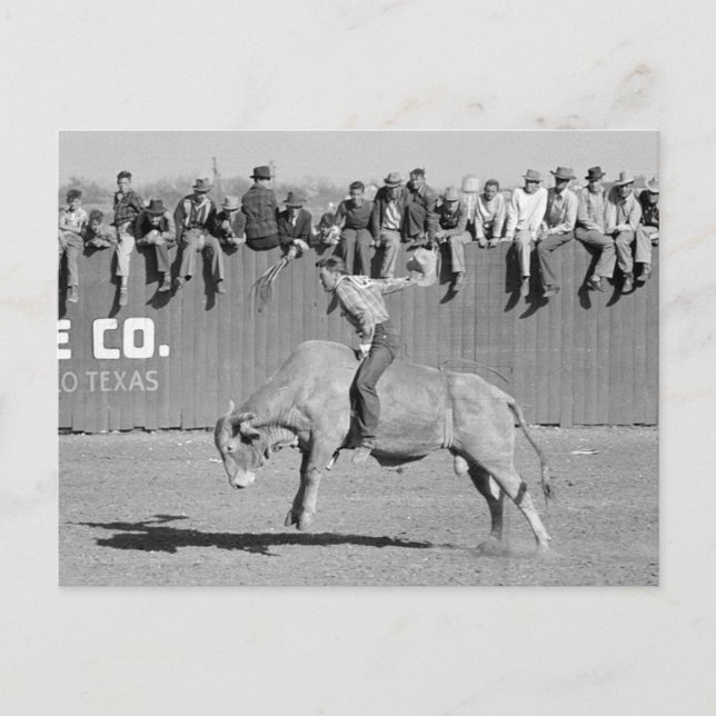Postal Jinete de Toro de Rodeo, 1940 (Anverso)