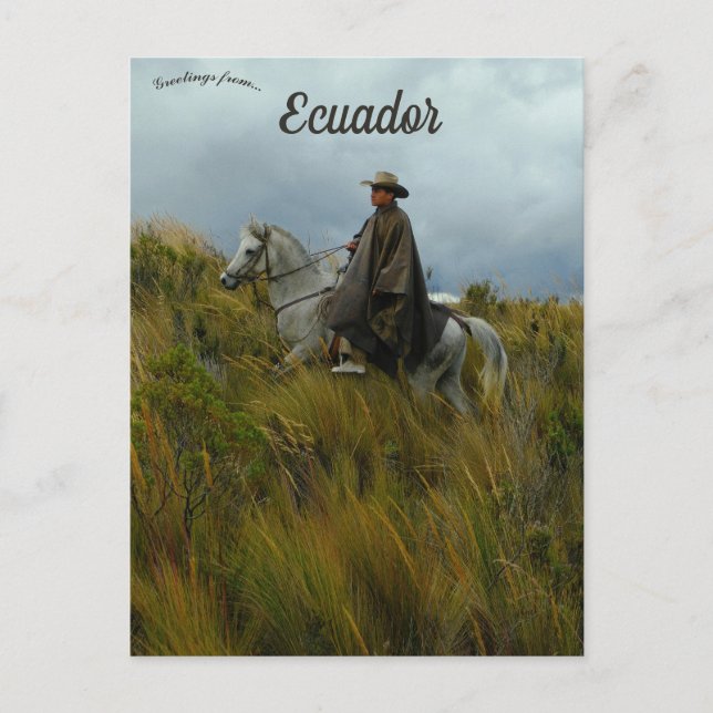 Postal Jinete y caballo en Cotopaxi Ecuador (Anverso)
