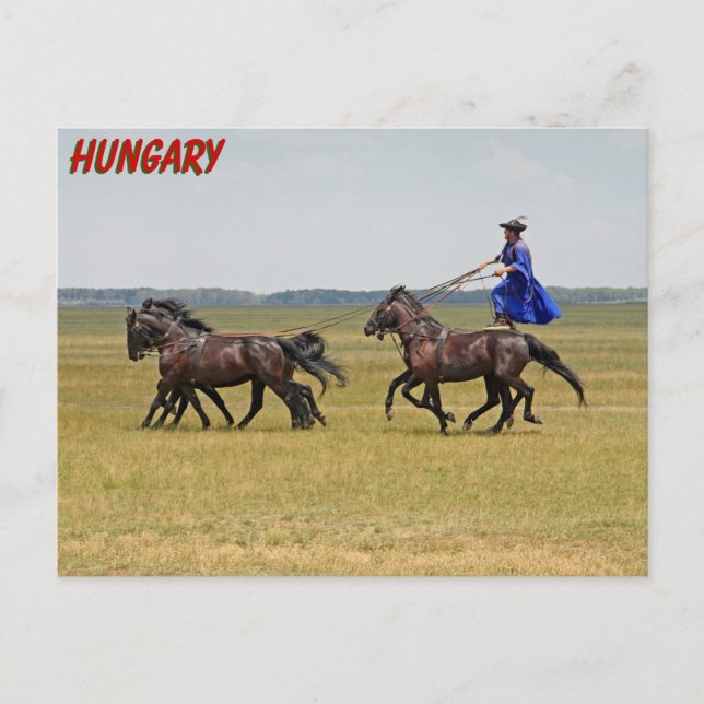 Postal Jinetes de Hungría y caballos (Anverso)