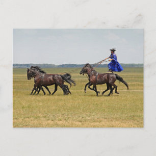 Postal Jinetes de Hungría y caballos