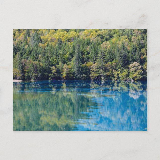 Postal Jiuzhaigou (Anverso)