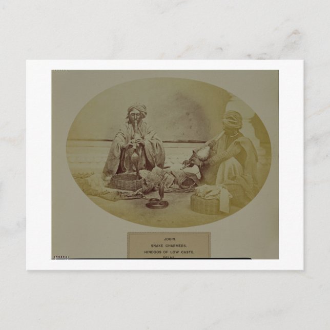 Postal Jogis o encantadores de serpientes, hindúes de cas (Anverso)
