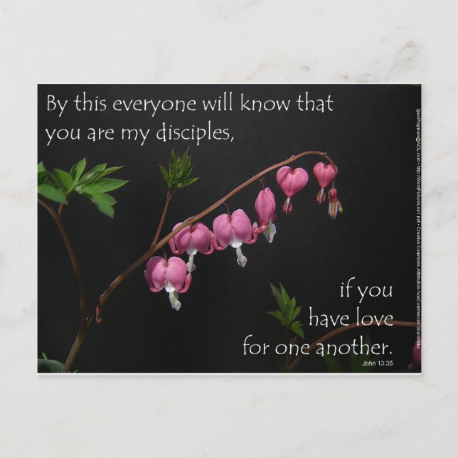 Postal John 13:35 - Amor por el otro (Anverso)