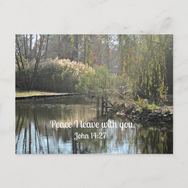 Postal John 14:27 Paz te dejo. (Anverso)
