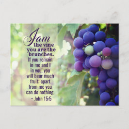 Postal John 15:5 Soy el Vino Tú eres la Biblia de las Ram