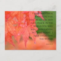 postal John 16:33 de pluviosidad de arce japonés r