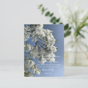 Postal John 3:16 Personalizado Texto   Naturaleza de niev