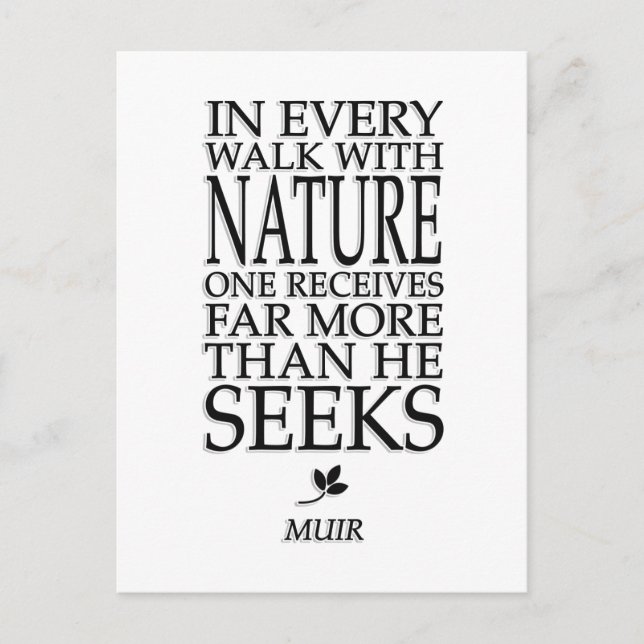 Postal John Muir (Anverso)