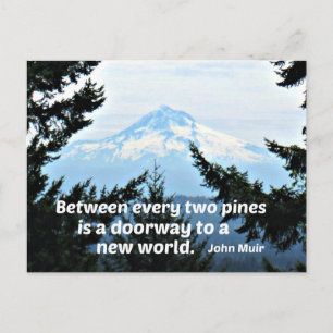 Postal John Muir: "Entre cada dos pinos hay una puerta"