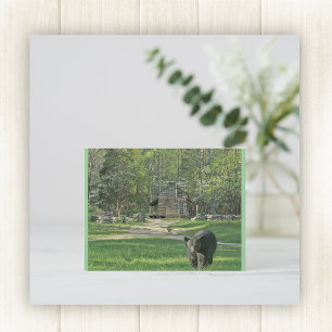 Postal John Oliver Cabin