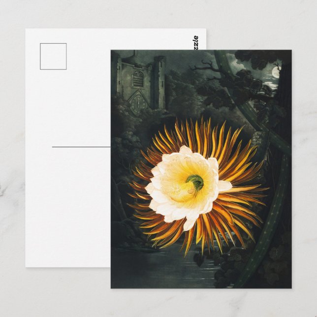 Postal John Thornton El Botánico De Cereus Que Salta La N (Anverso / Reverso)