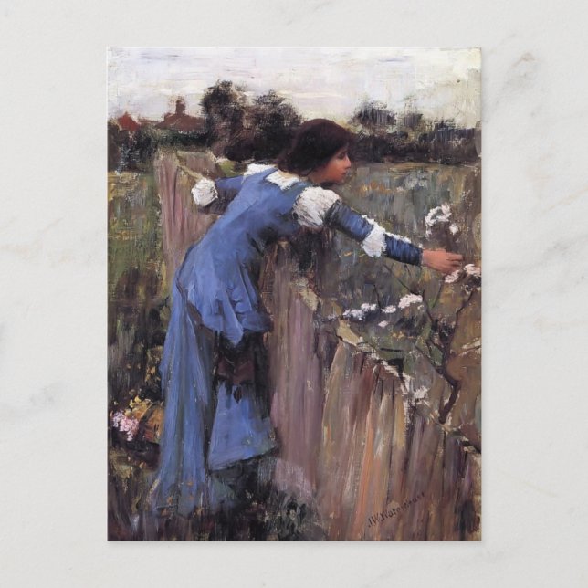 Postal John William Waterhouse - El Selector de Flores (Anverso)