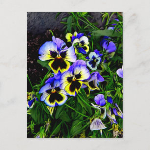 Postal Johnny Jump Up