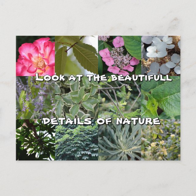 Postal joie texte fleur feuille vert jardin printemps (Anverso)