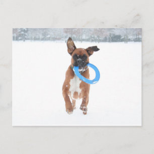 Postal Jolie jugando a frizbee en la nieve