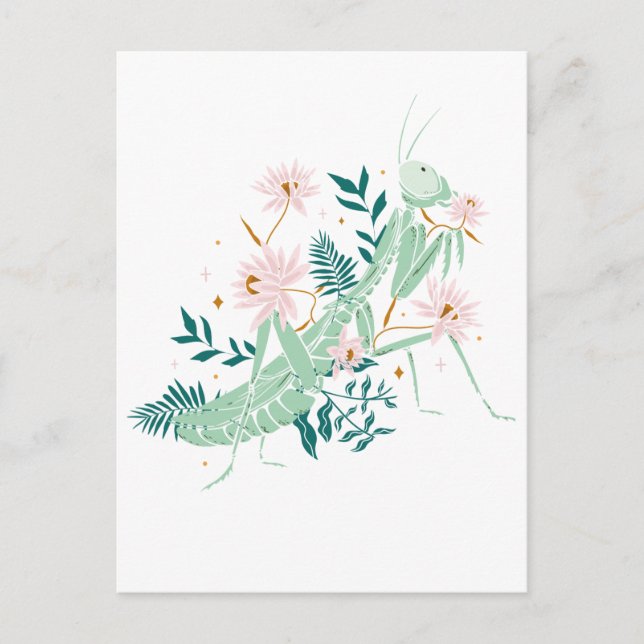 POSTAL JOLIE SAUTERELLE (Anverso)