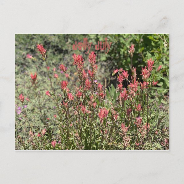 Postal Jolly July (Anverso)