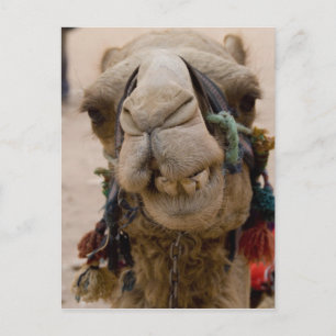 Postal Jordania, antigua ciudad Nabataean de Petra. Local