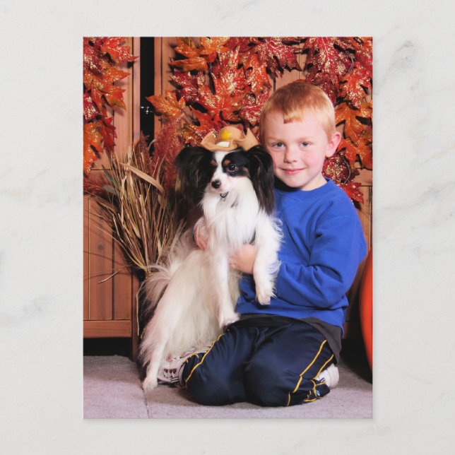Postal Jordy - Papillon - Numkena (Anverso)
