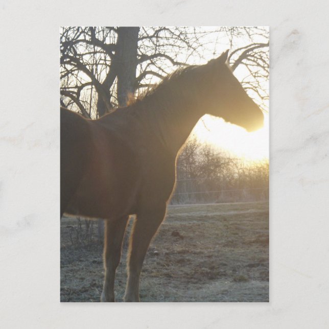 Postal Jose Benito (Anverso)