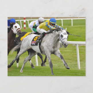 Postal José Ortiz en forma rápida y precisa