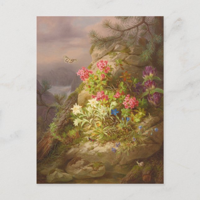 Postal Josef Lauer Vida-fija con flores y caracol (Anverso)