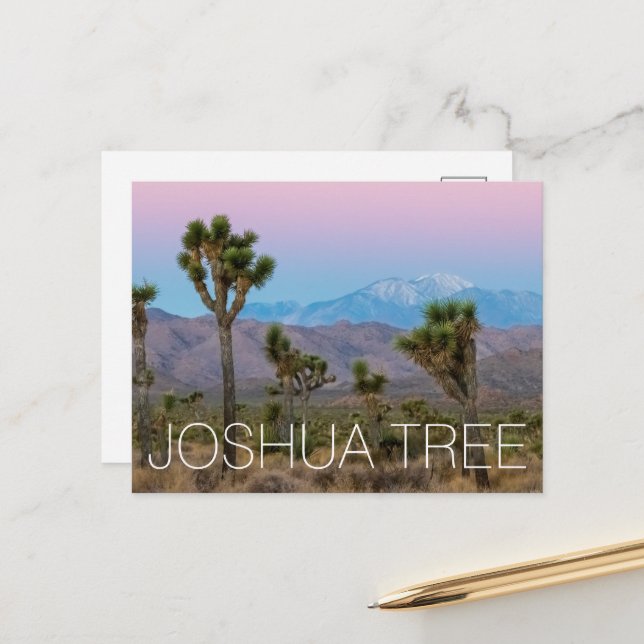 Postal Joshua Tree (Anverso/Reverso In Situ)