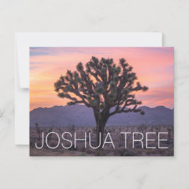 Postal Joshua Tree