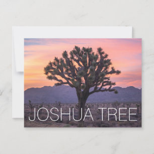Postal Joshua Tree