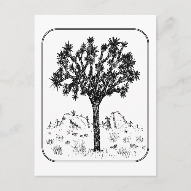 Postal Joshua Tree (borde) (Anverso)