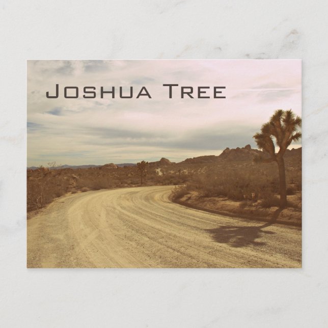 Postal Joshua Tree, California (Anverso)