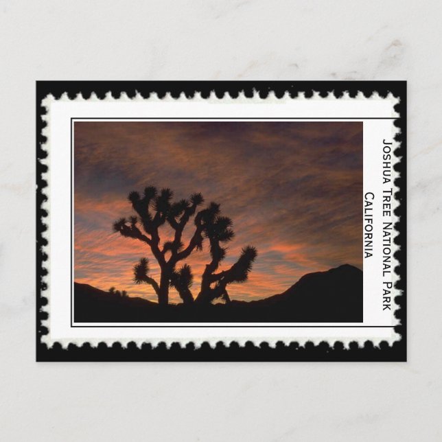 Postal Joshua Tree California (Anverso)