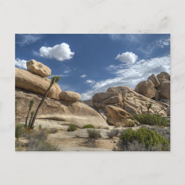 Postal Joshua Tree, California (Anverso)