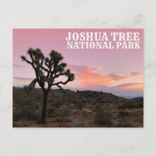 Postal Joshua Tree California Sunset