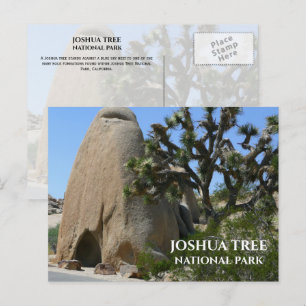 Postal Joshua Tree, formaciones rocosas Parque Nacional J