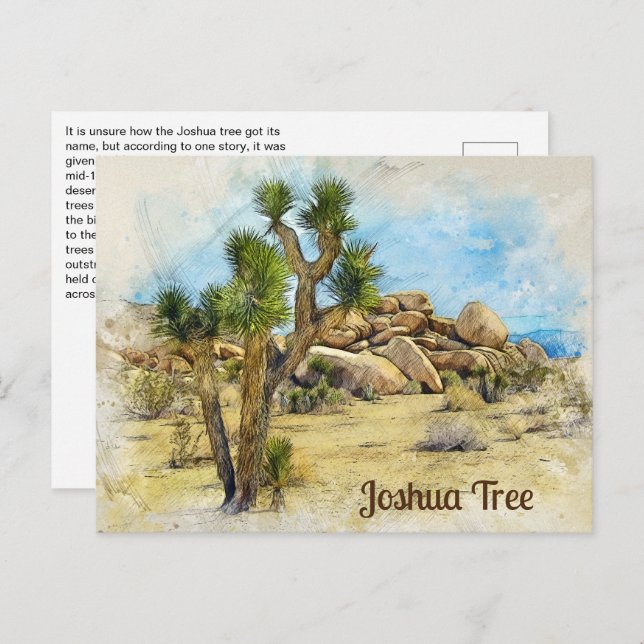 Postal Joshua Tree Fun Fact (Anverso / Reverso)