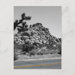 Postal Joshua Tree Rocks with Road - California Photo