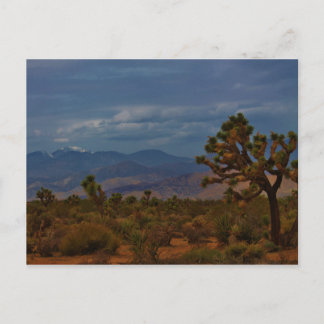 Postal Joshua Tree View