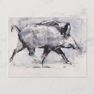 Postal Joven boar Bialowieza Polonia