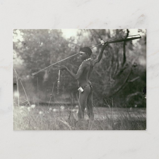 Postal Joven cabaña aborigen con lanza y madera (Anverso)