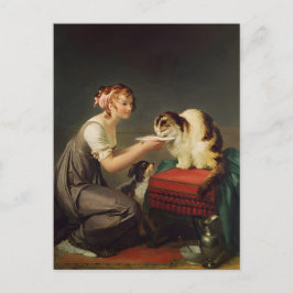 Postal Joven Chica dando leche a su arte gato