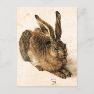 Postal joven de las liebres de Albrecht Durer