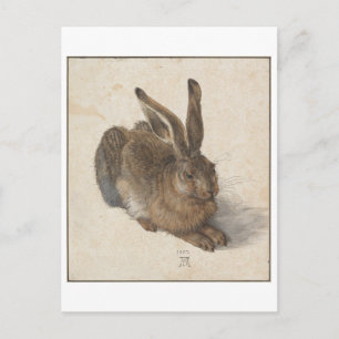 Postal Joven liebre de Albrecht Durer