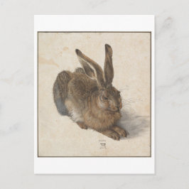 Postal Joven liebre de Albrecht Durer