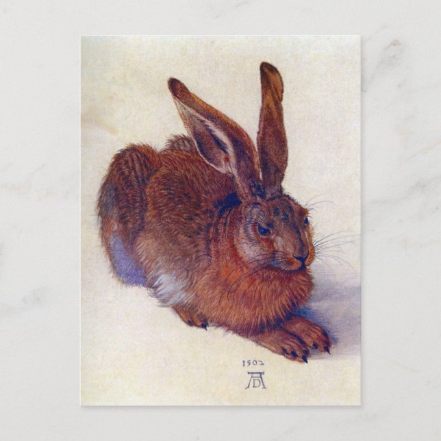 Postal Joven liebre de Albrecht Durer, Bella Artes del Re (Anverso)